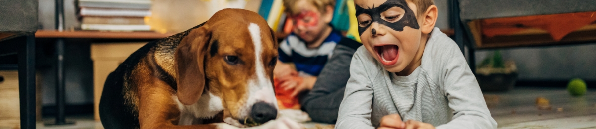 Halloween and pets